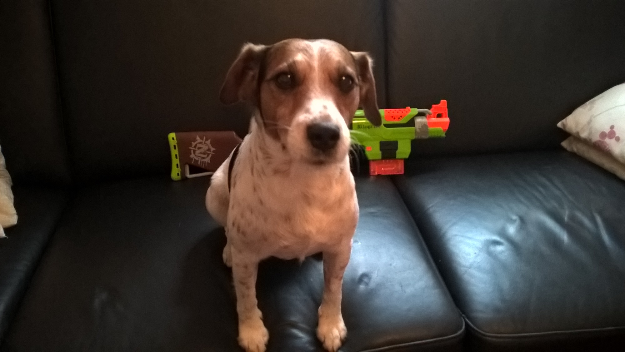 WP_20180319_11_14_10_Pro